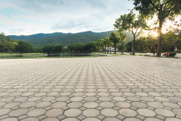 Best Best Driveway Pavers  in Manchester, MO